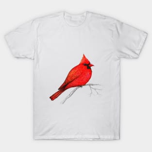 Northern cardinal pen drawing T-Shirt